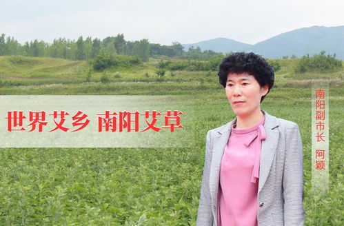 南陽艾草 一株香草托起的健康服務(wù)新未來
